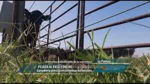 Pesada al paso y online