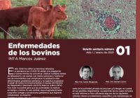 Enfermedades de los bovinos – INTA Marcos Juárez – Boletín sanitario nº1 – Enero 2021 Enfermedades de los bovinos – INTA Marcos Juárez – Boletín sanitario nº1 – Enero 2021