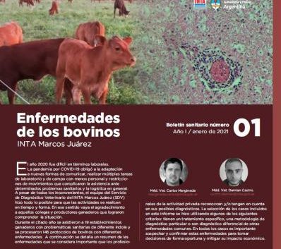 Enfermedades de los bovinos – INTA Marcos Juárez – Boletín sanitario nº1 – Enero 2021