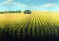 Maíz: las últimas lluvias sostienen una campaña cerca del récord