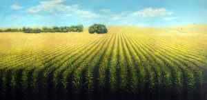 Maíz: las últimas lluvias sostienen una campaña cerca del récord