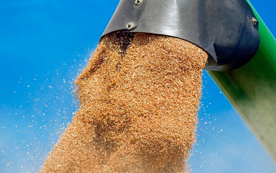 Unidos por la vacuna y ¿las decisiones de mercado? Rusia sigue aumentando un impuesto a la exportación de trigo