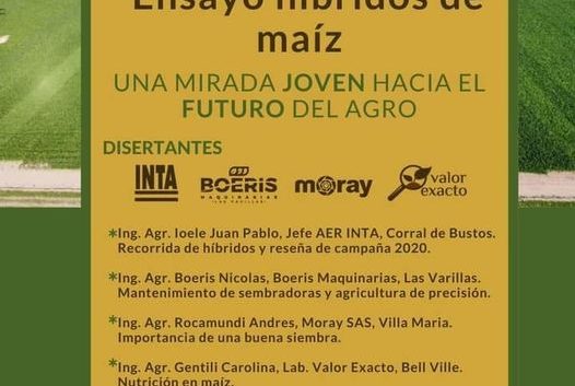 Ensayo de hibridos de maiz