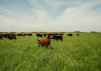 Comercio exterior interactivo