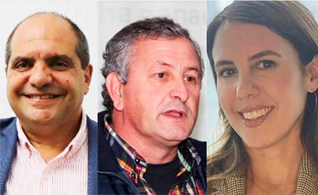 Este miércoles, Jornada On Line con S. Di Stefano, L. Lanfranconi y Celina Mesquida, desde Chicago