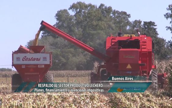 Las lluvias traen alivio para soja y maíz