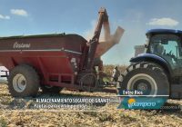 Almacenamiento seguro de granos