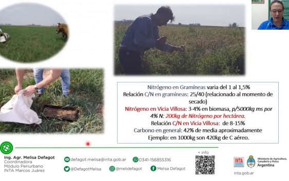 La importancia de los cultivos de cobertura para producir en zonas periurbanas