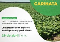 Sumate al conversatorio sobre Brassica Carinata