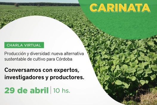 Sumate al conversatorio sobre Brassica Carinata