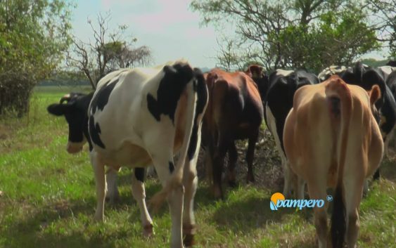 VaqINTA: herramienta para tamberos