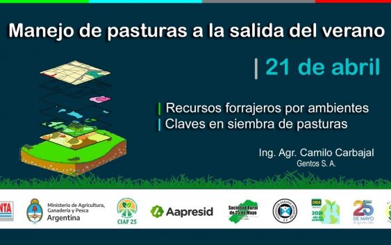 Manejo de pasturas a la salida del verano