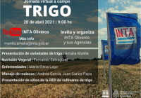 Trigo: jornada virtual a campo