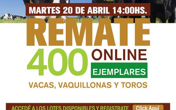 Gran subasta de hacienda lechera – Martes 20 de abril – 400 ejemplares