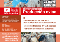 Enfermedades producidas por parásitos gastrointestinales