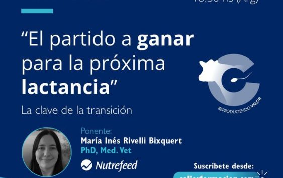 ?? ??????? ? ????? ???? ??????? ?????????: ?? ????? ?? ?? ??????????