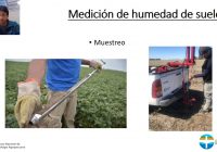 INTA Marcos Ju谩rez. Charla online: muestreo de la humedad de suelo para la siembra de trigo INTA Marcos Ju谩rez. Charla online: muestreo de la humedad de suelo para la siembra de trigo