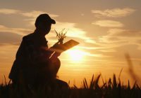 Gonzalo Raimundo – GEA – Guía Estratégica para el Agro | BCR