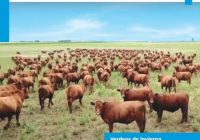 Ya está disponible para descargar Ganadería y Compromiso de mayo