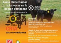 Como alimentar a las vacas en la region Pampeana