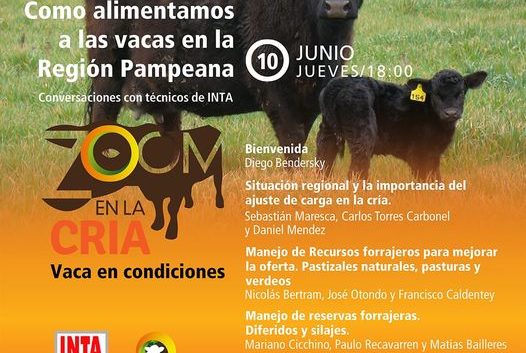 Como alimentar a las vacas en la region Pampeana