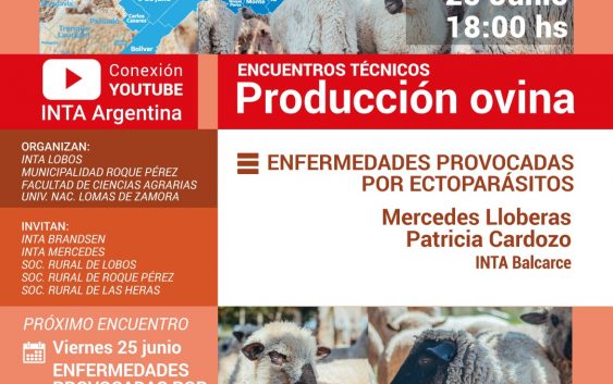 Encuentros técnicos Producción ovina