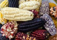 Taller-Capacitación