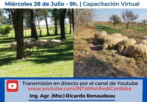 Jornada Forestal en el Centro de Córdoba