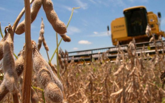 Informe Mensual de Oferta y Demanda del USDA – Julio 2021