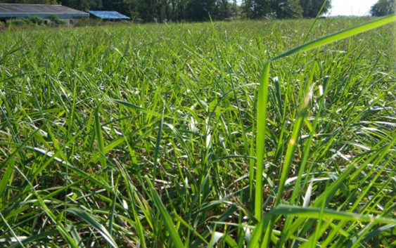 Afirman que La Niña seguirá presente por lo menos hasta marzo