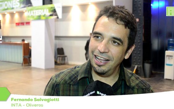 Claves de la nutrición de soja para potenciar el rendimiento”