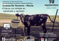 Cada vez más trabajadores rurales acceden a las capacitaciones virtuales del RENATRE