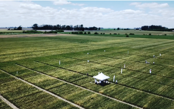 AgroActiva 2022 convoca a artesanos y emprendedores