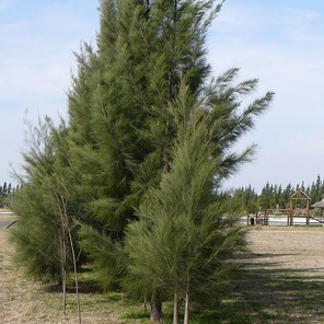 Se viene el lanzamiento de Agroactiva 2022 en Rosario