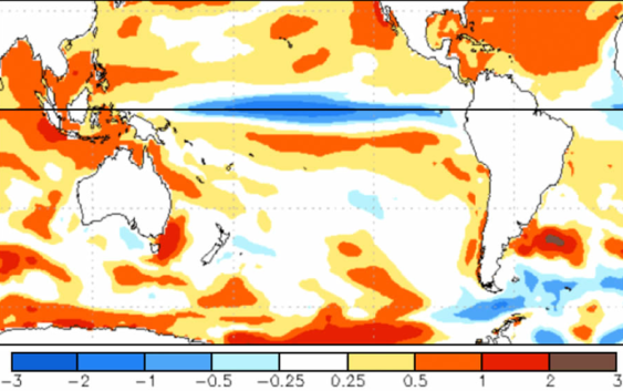 Lanzamiento del mapa nacional de cultivos extensivos 2021-2022