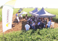 Jornada Don Mario Más Soja y Maíz 2023, tendrá lugar el 1° de Marzo: invitan a participar e inscribirse