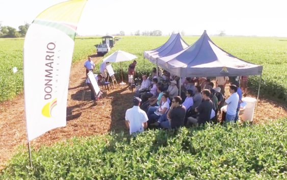 Jornada Don Mario Más Soja y Maíz 2023, tendrá lugar el 1° de Marzo: invitan a participar e inscribirse