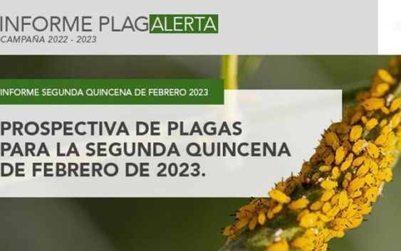 Plagalerta: “defender lo que queda”, el reporte de FMC para la segunda quincena de febrero