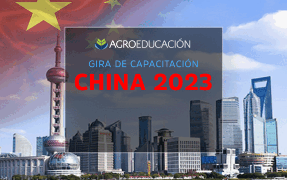 Viaje Capacitación: CHINA | HONG KONG | DUBAI