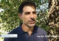 Los profesionales del agro – n°70 – Profundizando en los cultivos de cobertura