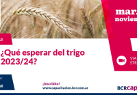 “¿Qué esperar del trigo 2023/24?”