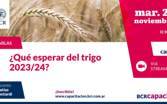 “¿Qué esperar del trigo 2023/24?”