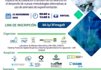 V Taller virtual MAPEF￼