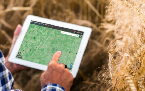 Presentaron actualización y nuevos mapas de propiedades del suelo