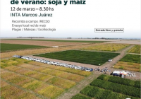 Jornada de cultivos de verano: soja y maiz Jornada de cultivos de verano: soja y maiz