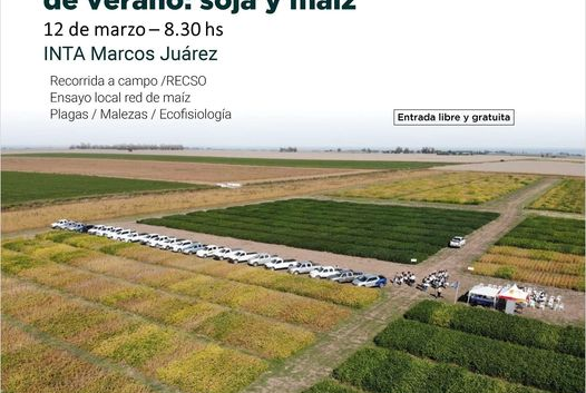 Jornada de cultivos de verano: soja y maiz