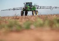 Importancia del monitoreo de trips en el cultivo de soja