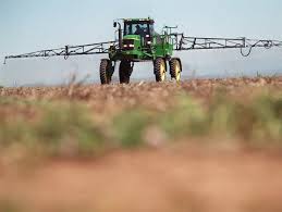 Importancia del monitoreo de trips en el cultivo de soja