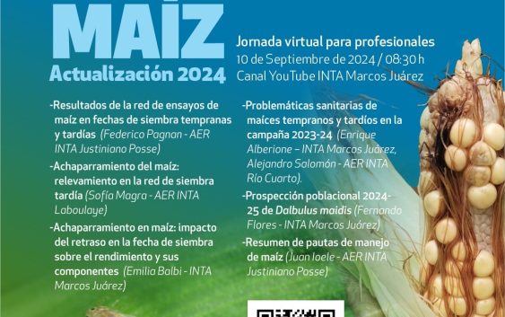 Maíz: jornada de actualización para profesionales – Virtual – 10 de septiembre de 2024