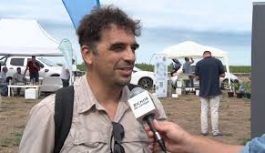 Ecofisiolog铆a en agricultura extensiva Ecofisiolog铆a en agricultura extensiva